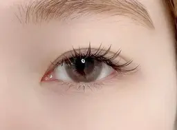 【20:00~のみ】ボリュームラッシュ120束🎀