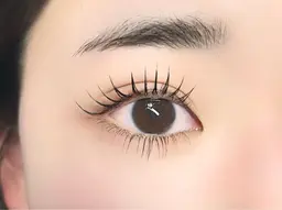 【ミニモ限定】【ご新規様限定】上下セット✨パリジェンヌorラッシュリフト✨