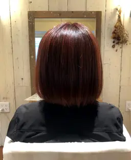 🔶カット+髪と頭皮に優しいオーガニックカラー【ヴィラロドラカラー】です🔶ツヤをとにかく大事にしたい方におすすめ☺️