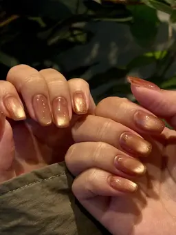 【マグネット/フラッシュ】