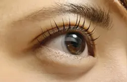 まつ毛カール下のみ⛄️🩵