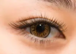 バインドロック40束✨️👀