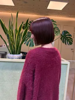 ✩.*˚カットのみ