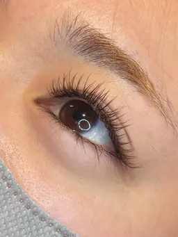 フラットラッシュ　カラー120本