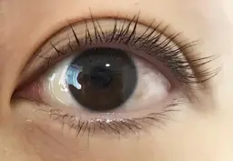 【新規】まつ毛パーマ