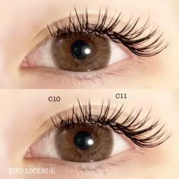 圧倒的モチ🌷バインドロック100束(オフ込み)