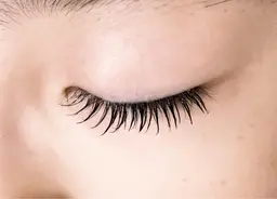 まつ毛エクステつけ放題
