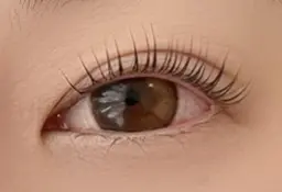 【NewOpen記念】根本から立ち上げ◆パリジェンヌラッシュリフト ¥8800→