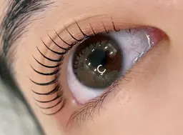 🌺特別価格1🌺最新次世代まつ毛パーマ上🌷コテイング付き&