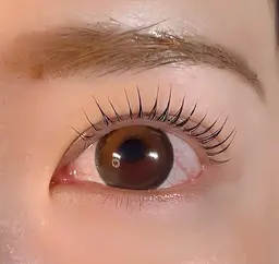 パリジェンヌラッシュリフト(上)