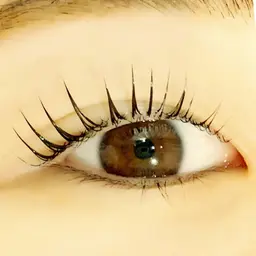 《まつ毛パーマ》💓カール or リフト✨トリートメント＋コーティング付き‼️