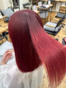 11/17 13時～【ブリーチなしダブルカラー】⭐️3ステップトリートメント付き🩰