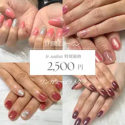 2色選べる⭐︎ワンカラーorラメグラ(オフあり)¥3000