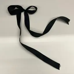 【次回予約】パリジェンヌorラッシュリフト