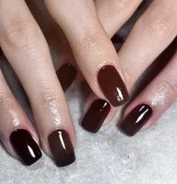 【オフあり】ワンカラー🐶