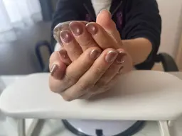 ❄️マグネットネイル【オフなし】❄️