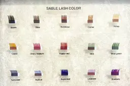 《詳細必見🎄》100本セーブル💕　その他の本数は問い合わせ下さい