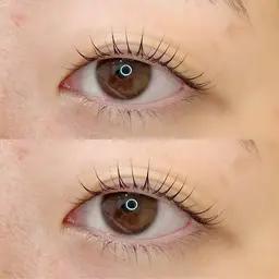 🤍フラットセーブル120本+下まつ毛エクステ(40本まで)🤍