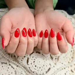 ワンカラー(2色OK)