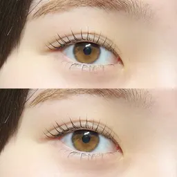 🩰パリジェンヌラッシュリフト （上下）