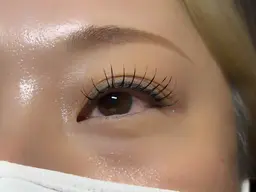 フラットラッシュ120本【コーティング付き】