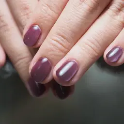 ワンカラー【オフ無し】