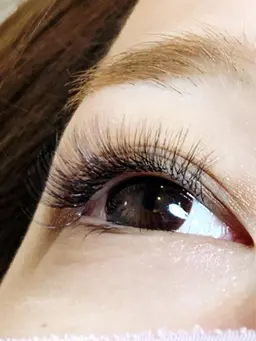 大人まつげのスキ間埋め🫧LEDフラット×ボリュームラッシュ100束