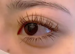 マツエク上下つけ放題