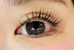 パリジェンヌラッシュリフト　専用トリートメント、コーティング付き✨