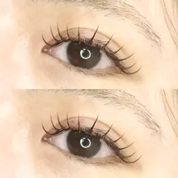 🎀フラットセーブル140本🎀デザインお選びいただきます！(カラー変更プラス1500円)