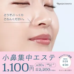 【2回目以降の方】小鼻集中エステ