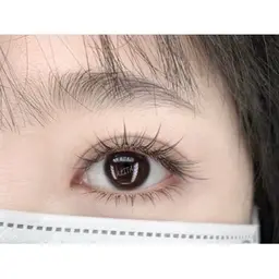 【限定クーポン】ナチュラル韓国東感ワンホンアイラッシュ上+下7980→6980