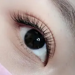 【新規様限定】選べる🌟フラットorセーブル　130本まで付け放題