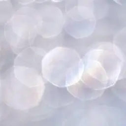 🩶ミニモSALE🩶まつげパーマ/上下(美容液で束感仕上げ)