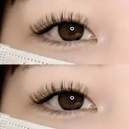 バインドロック100束【2回目以降】