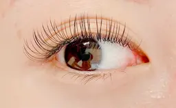 【マツエク】ミニモ限定🉐Wフラット100本🌸