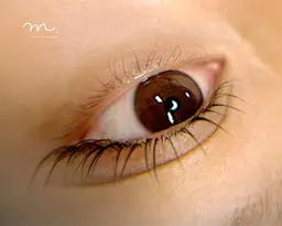 【新規】似合わせオーダーDesign◆まつげパーマ/パリジェンヌ¥4800