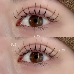 \2月限定/【LJ.LC.LDカール限定】W flat lash((120本))
