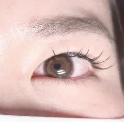 フラットラッシュ100本