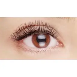 オフ込み 🌻 フラットマットラッシュ 80本