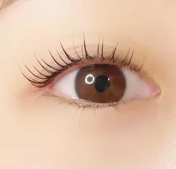 ✨ミニモ限定✨トリートメント付き✨上まつ毛パーマ (ビューラー式ではございません)