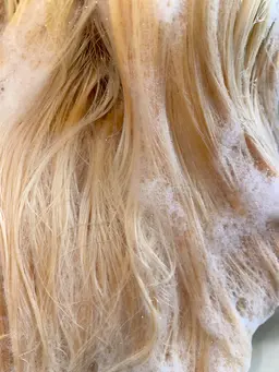 🌟ブリーチ🌟（ケアブリーチの場合＋¥500）（リタッチのみ🉑）