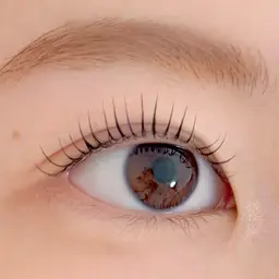 🌿アイブロウワックス🌿＋🎀カール重視のまつ毛パーマ＋美容コーティング🎀￥7500