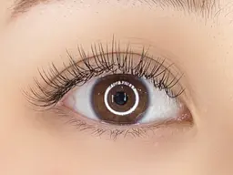 🩶LEDフラットラッシュ 160本