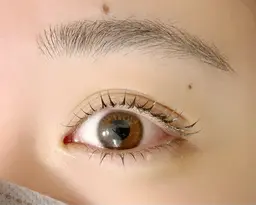 上下ラッシュリフト&パリジェンヌ(TRなし)