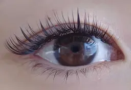 束ボリュームラッシュ（オフ込み）コーティング付き120束