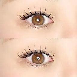 【持続性up🩶】フラットラッシュ160本