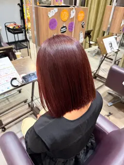 【ボブカット￥0‼️】5センチ以上切らせていただける方限定