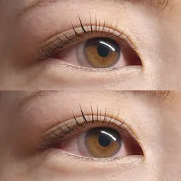 🎀【平日限定価格】上まつげパーマ🎀