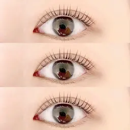 パリジェンヌラッシュリフト🦦